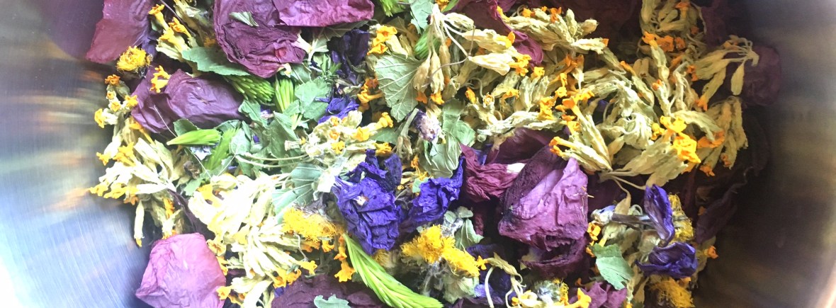 Cures dépuratives et macérats glycérinés