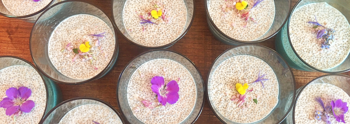 Cueillette et cuisine de plantes sauvages