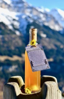 Vinaigre des 4 voleurs aux plantes des Alpes