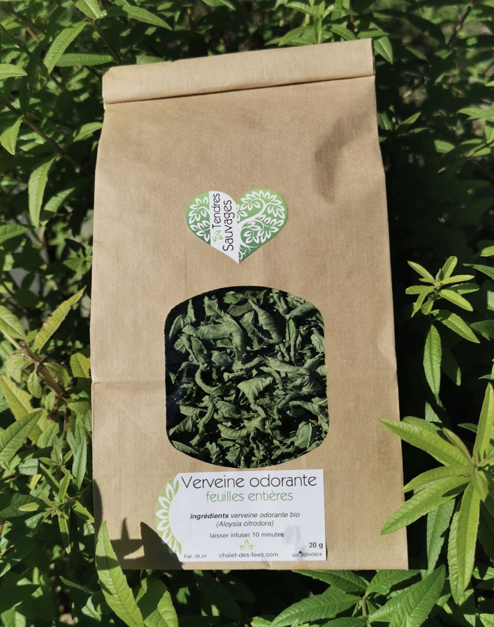 Verveine odorante séchée pour infusion