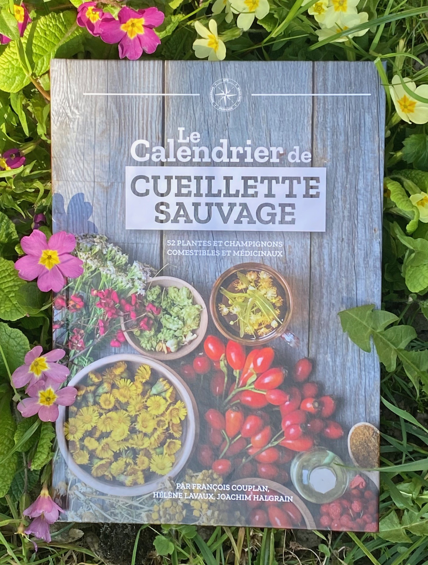 Livre de cueillette sauvage