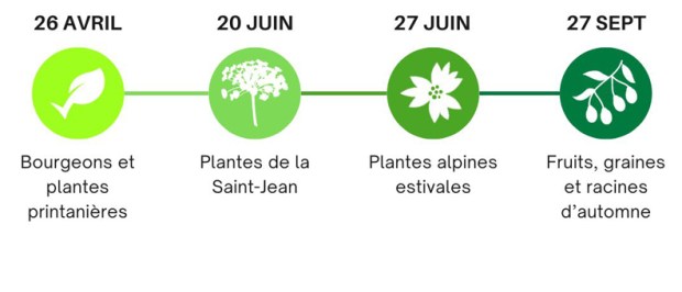 Cours d'herboristerie au fil des saisons